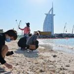 خليفة: محفظة أقساط متوازنة تتجاوز الـ٥٠ مليون جنيه