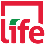 الريجي: للتوقف عن المزايدة الرخيصة والمزيفة في شأن الحرص على المال العام