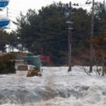 السعودية: عمومية الأهلية للتأمين ترفض إبراء ذمة أعضاء مجلس الإدارة