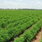 تونس: الترفيع في تعريفتي التأمين على السرقة والحريق لأصحاب العربات