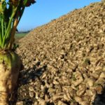 فلسطين: العمل جارٍ لإنشاء النظام الالكتروني للتأمينات الصحية في فلسطين