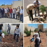 الأردن: المنارة للتأمين تعلن عن تقديمها التأمين على الحوادث العامة