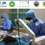 بنك نزوى يسطر نجاحا جديدا بحصوله على تصنيف عال في جودة التدقيق