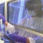 تقرير حول عقد تلزيم قطاع البريد  إلى شركة ليبان بوست