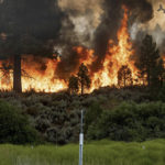 شركات التأمين تضخ استثمارات جديدة بقيمة ١،١ مليار درهم