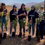 الإمارات: أداء إيجابي لـ 4 شـركات تأمين.. وأرباح “الوثبة” تقفز إلى 174 مليون درهم