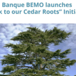 بنك بيمو يسجل أرباحاً بقيمة ١،١٠ مليون د.أ. خلال العام ٢٠٢٠