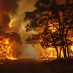 كيا EV6 تحصد لقب “أفضل سيارة كروس أوفر للعام”