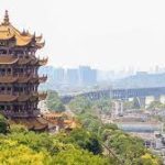 سوريا: 3 أشهر لتقييم التعديلات على بوليصة التأمين الصحي للعاملين