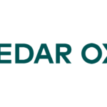 الأمين العام للمصارف العربية: الشمول المالي من الأولويات