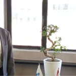 حمد المحياس رئيساً لمجلس إدارة نادي أبوظبي لألعاب المضرب