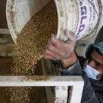 بنكsaib يفتتح فرعاً جديداً بمنطقة المهندسين