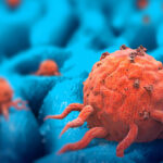 مصر: محافظ مطروح يسلم وثيقة التأمين هدية الرئيس للعمالة غير المنتظمة