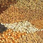 الأمن الغذائي يتصدر الأولويات عربياً