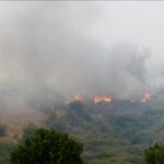 السعودية: لائحة جديدة تستهدف تطوير وتسريع خدمات التأمين الصحي