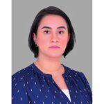 حميه: للكشف على الوضع الانشائي لاساسات إهراءات مرفأ بيروت واوتادها