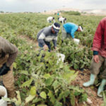 مصرف البحرين المركزي: تغطية إصدار بقيمة 70 مليون دينار بحريني