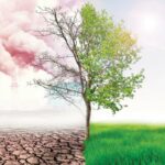 هل يدفع الاقتصاد الأوروبي ثمن العقوبات على موسكو؟