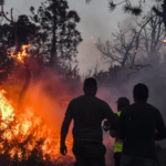 مصر: التأمين الصحي الشامل يتصدر الأولويات الرئاسية لتحقيق حلم كل المصريين