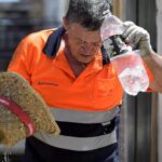 الكويت: “الضمان للتأمين التكافلي” تستعد لمرحلة مقبلة تتوّجها الرقمنة