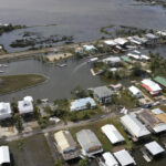 مصر: عبد الله خالد رئيسًا لمجلس إدارة شركة المهندس للتأمين وخالد عبد الصادق نائبًا