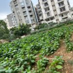 التجاري الدولي وراعي مصر يدشنان 3 قوافل طبية