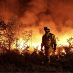 ٢٠٤،٤ مليون درهم أرباح «أبوظبي الوطنية للتأمين»