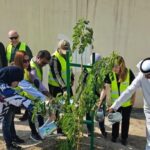 بنك عُمان العربي يحصد جائزة STP من بنك أوف نيويورك ميلون