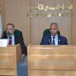 مصر: الرقابة المالية تعدل النظام الأساسي لشركة (AIG) للتأمين