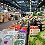 بنك مسقط يوقّع اتفاقية شراكة لزراعة 300 شجرة زيتون