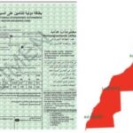 خبير: التأمين يعوّض وفّيات الحجاج المسافرين عبر الطيران السعودي فقط