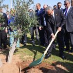 السعودية: التعاونية تحقق أعلى نمو لقيمة العلامة التجارية في المملكة والإمارات