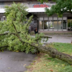 السعودية: “متكاملة للتأمين” توقع عقداً مع “شلمبرجير السعودية” لوثيقة الطاقة