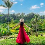 اتفاق أميركي صيني على إطار عمل بشأن التجارة