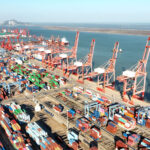 السعودية تقر مسرّعات الأعمال المختصة بالثروة الحيوانية والتقنيات الحيوية