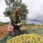 جابر: نعيش أزمة نظام مالي والودائع حق لأصحابها