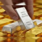 منيمنة زار رجي وعرض معه تفعيل الدبلوماسية الاقتصادية