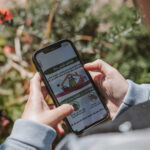 زيادة كبيرة في حركة السفن بقناة بنما بسبب الحرب في الشرق الأوسط