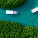 ’إم جي موتور الشرق الأوسط‘ تطرح MG GT الجديدة مع تصميم وتقنيات معزَّزة