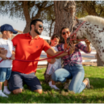 «المسافر» أول شركة سعودية تقدم خدماتها عبر الذكاء الاصطناعي