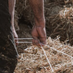 لبنان وإيطاليا يوقعان مذكرة تفاهم زراعية استراتيجية