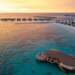 إنفيديا تسجل 81.6 مليار دولار إيرادات وتواصل الهيمنة على سباق الذكاء الاصطناعي